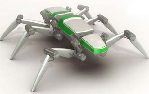 Đức chế tạo robot côn trùng