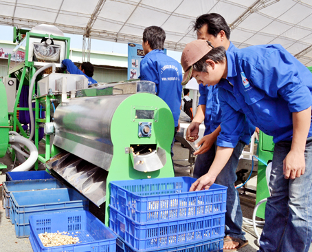 Ngành chế biến điều “xài” máy móc nội