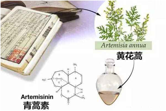 易游平台,易游（中国）：向中医药看齐，与世界共享中医药文化(图1)