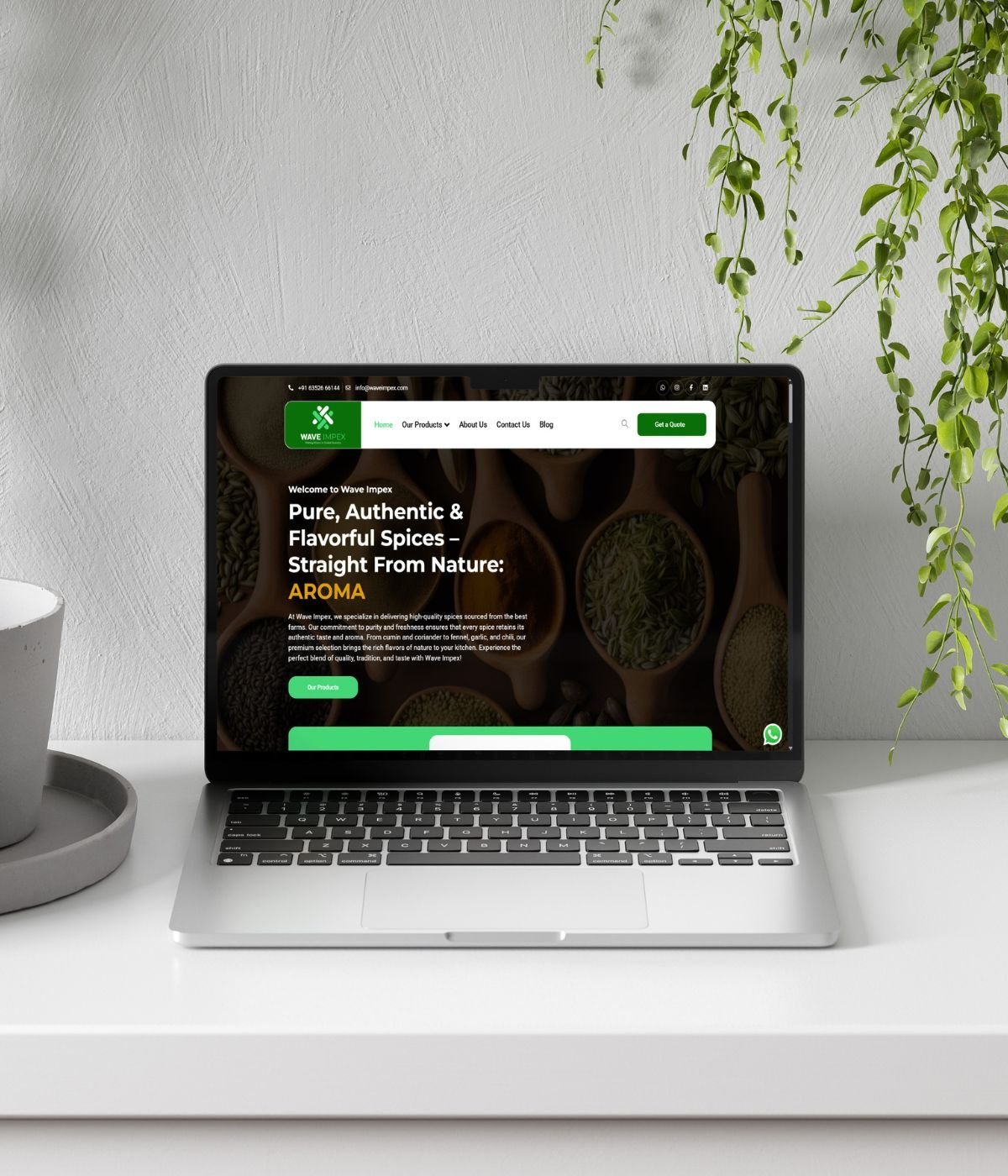 portfolio-bg-image-1